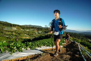 BIB: 1365
                            <button type="button" onclick="openModal(19117365)" class="btn btn-primary btn-sm float-right btn-popup" data-toggle="modal" data-target=".modal-high-quality">
                        <i class="fas fa-shopping-cart"></i> Add to Cart
                    </button>
                                            <button type="button" onclick="isThisMe(19117365, true)" class="btn btn-success btn-sm float-right btn-popup btn-isme hidden" data-toggle="tooltip" data-placement="bottom" title="นี่คือรูปของคุณใช่ไหม คลิกที่นี่เพื่อเอาเข้าอัลบั้ม">
                        <i class="fas fa-plus"></i> Add to album
                    </button>
                    <button type="button" onclick="isThisMe(19117365, false)" class="btn btn-warning btn-sm float-right btn-popup btn-isnotme hidden">
                        <i class="fas fa-ban"></i> Remove from album
                    </button>